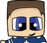 NaughtyGnome logo