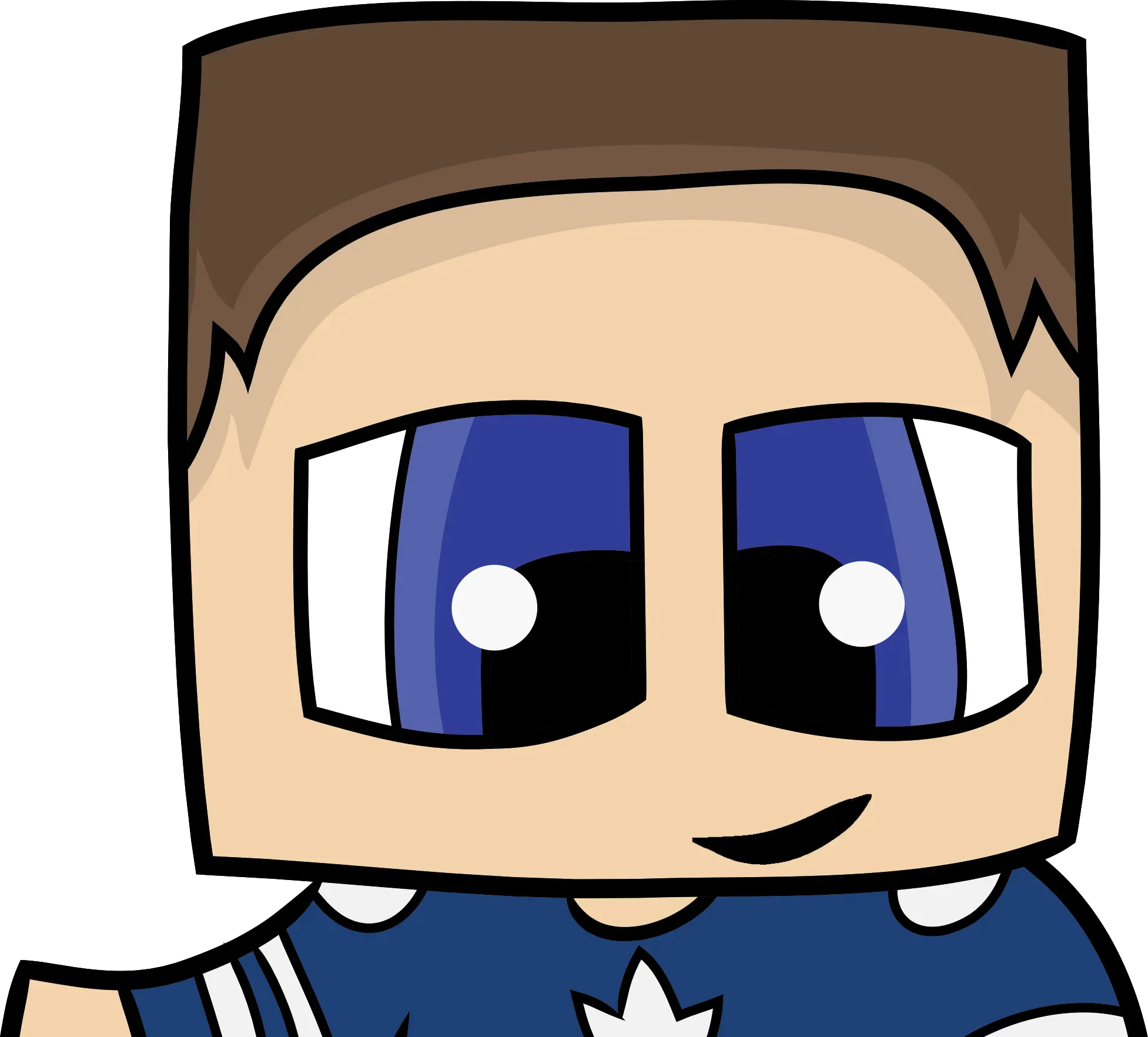 NaughtyGnome logo